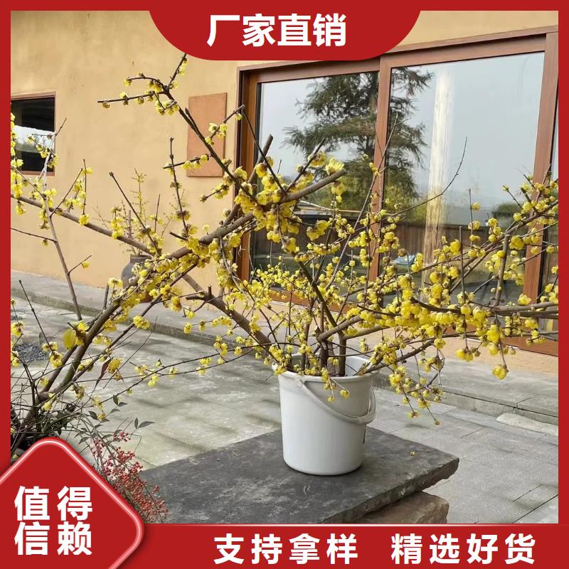 外墻夯土漆源頭廠家，拿貨批發價