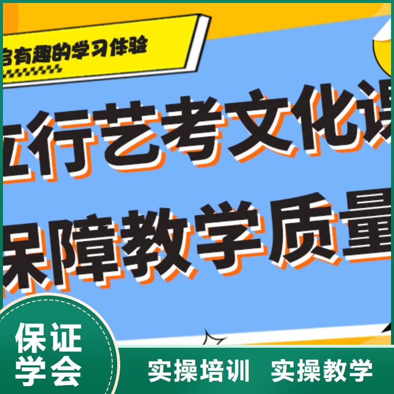 藝考文化課補習藝考復讀清北班手把手教學