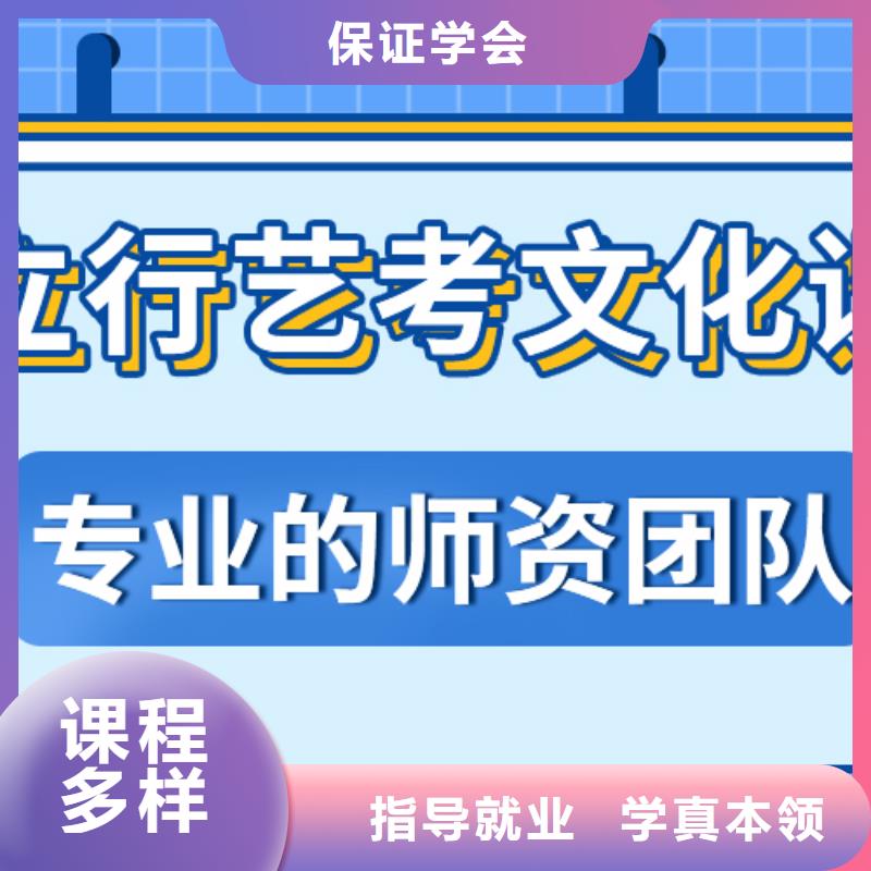 藝考文化課補習藝考復讀清北班手把手教學