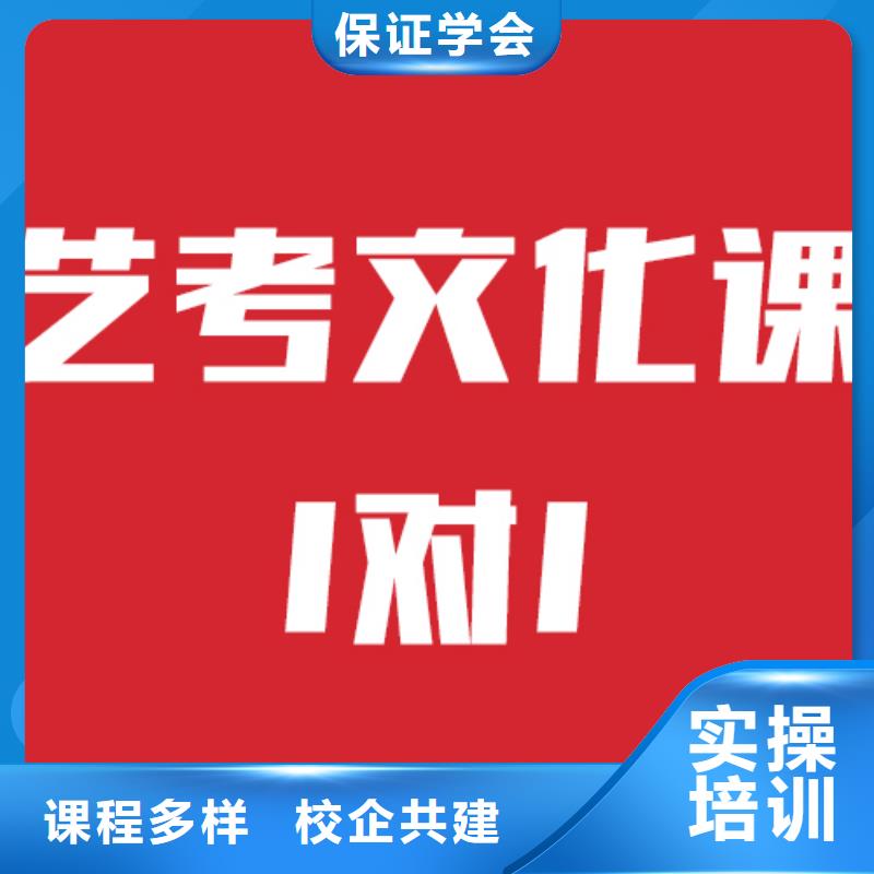 艺考文化课补习班哪个学校好