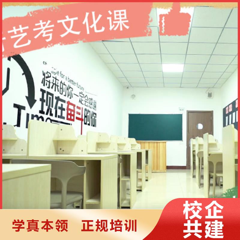 藝考文化課集訓(xùn),舞蹈藝考培訓(xùn)專業(yè)齊全