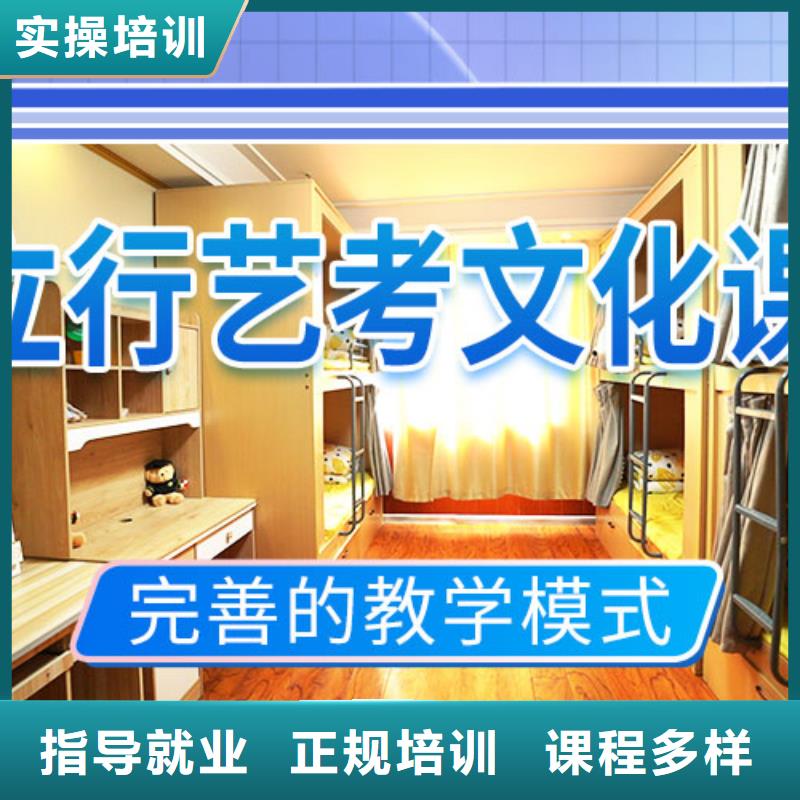 藝考生文化課怎么選
