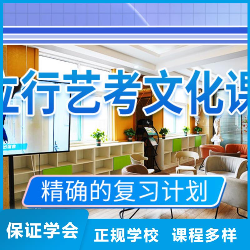 藝考文化課集訓高考復讀周六班手把手教學