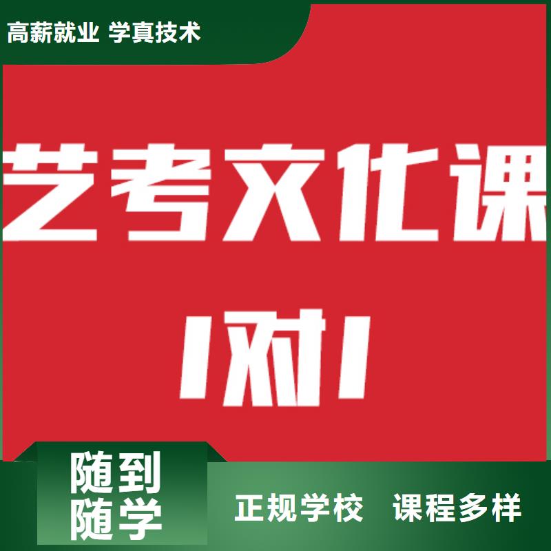 藝考文化課培訓(xùn)藝考文化課沖刺理論+實(shí)操