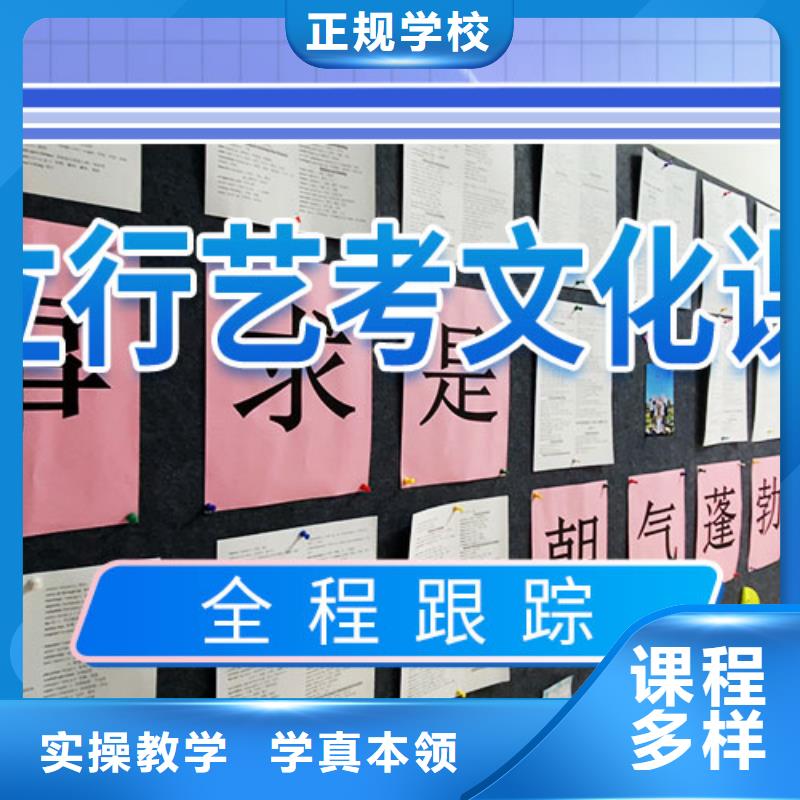 艺考文化课【艺考文化课冲刺】课程多样