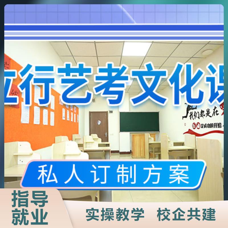 藝考生文化課沖刺【高考】全程實(shí)操
