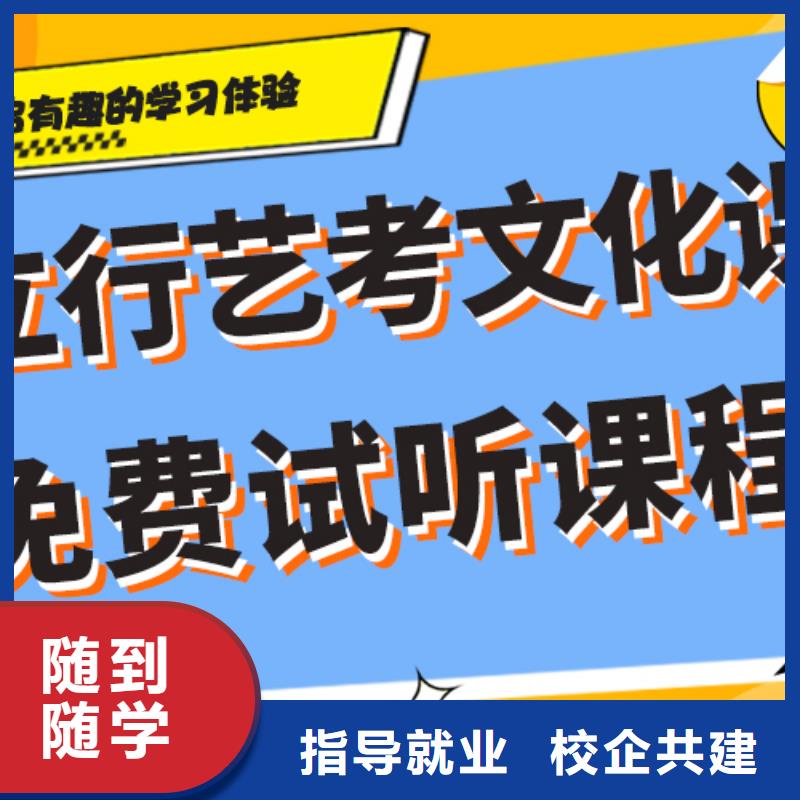 藝考文化課集訓(xùn)班美術(shù)生文化課培訓(xùn)學(xué)真技術(shù)