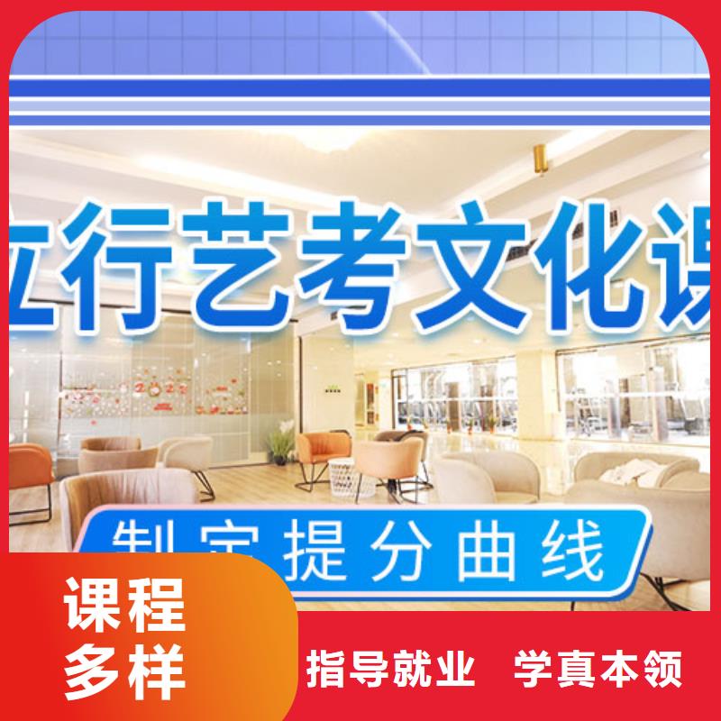 藝考文化課集訓班美術生文化課培訓學真技術
