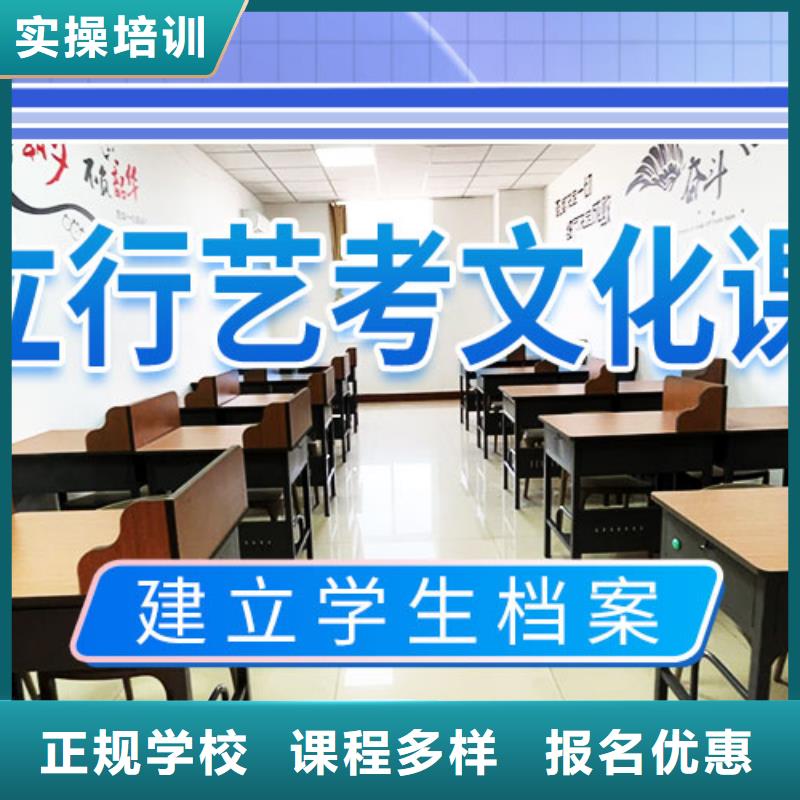 藝考文化課集訓(xùn)班美術(shù)生文化課培訓(xùn)學(xué)真技術(shù)
