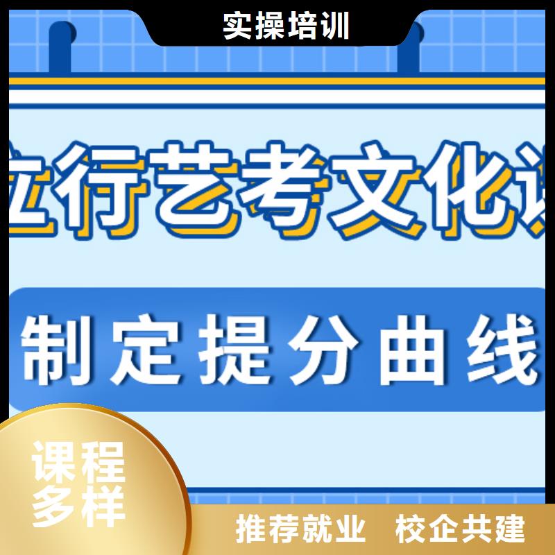 藝考文化課集訓班高考沖刺補習老師專業
