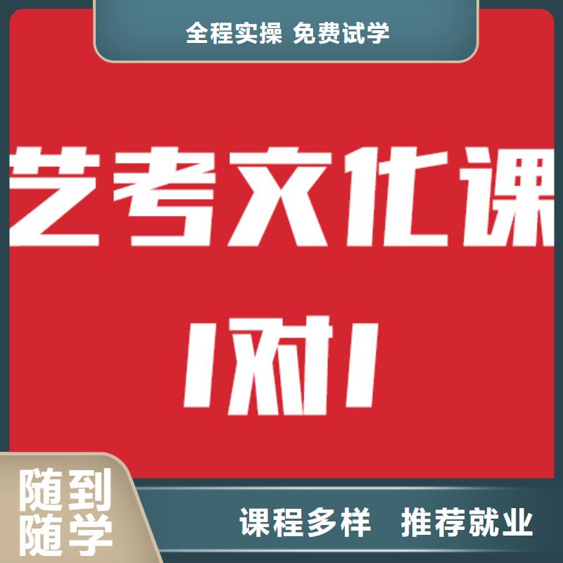 有幾家藝考生文化課集訓(xùn)沖刺要師資好的