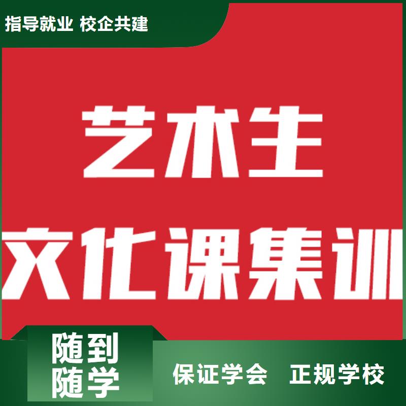 艺考生文化课培训机构2024年分数要求