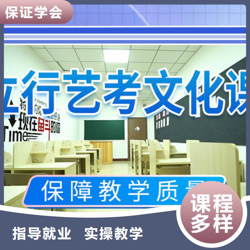 藝體生文化課培訓補習一年多少錢