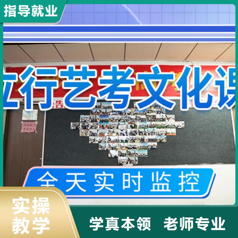 【艺考文化课补习艺考文化课冲刺班指导就业】