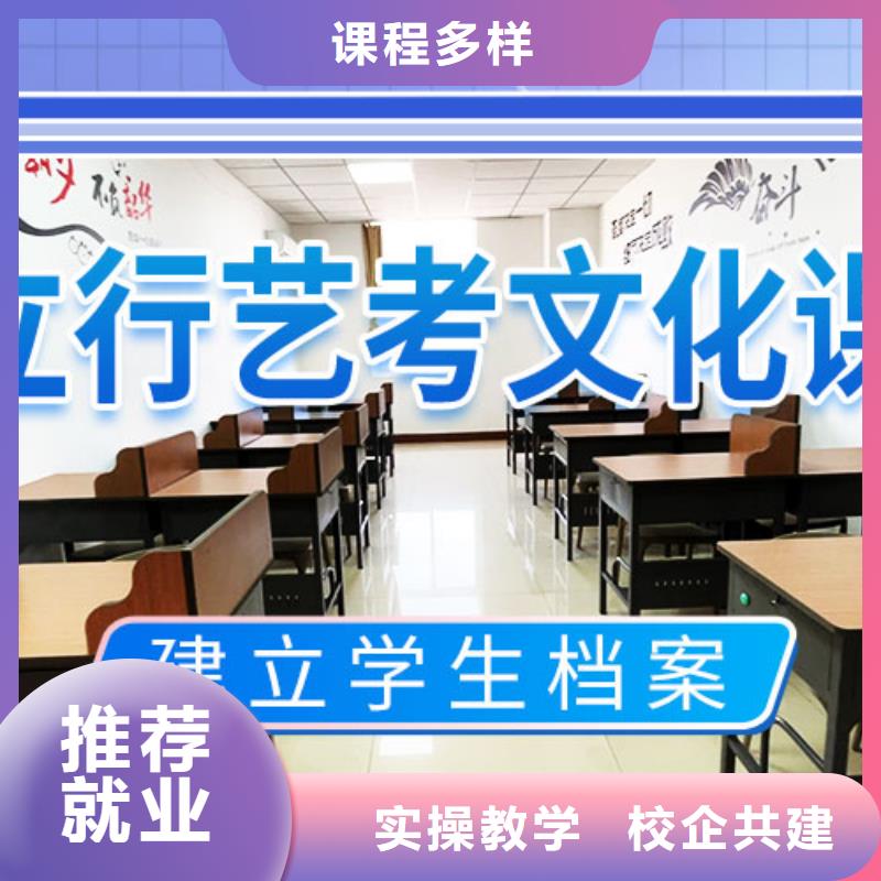 藝考生文化課集訓沖刺排行榜