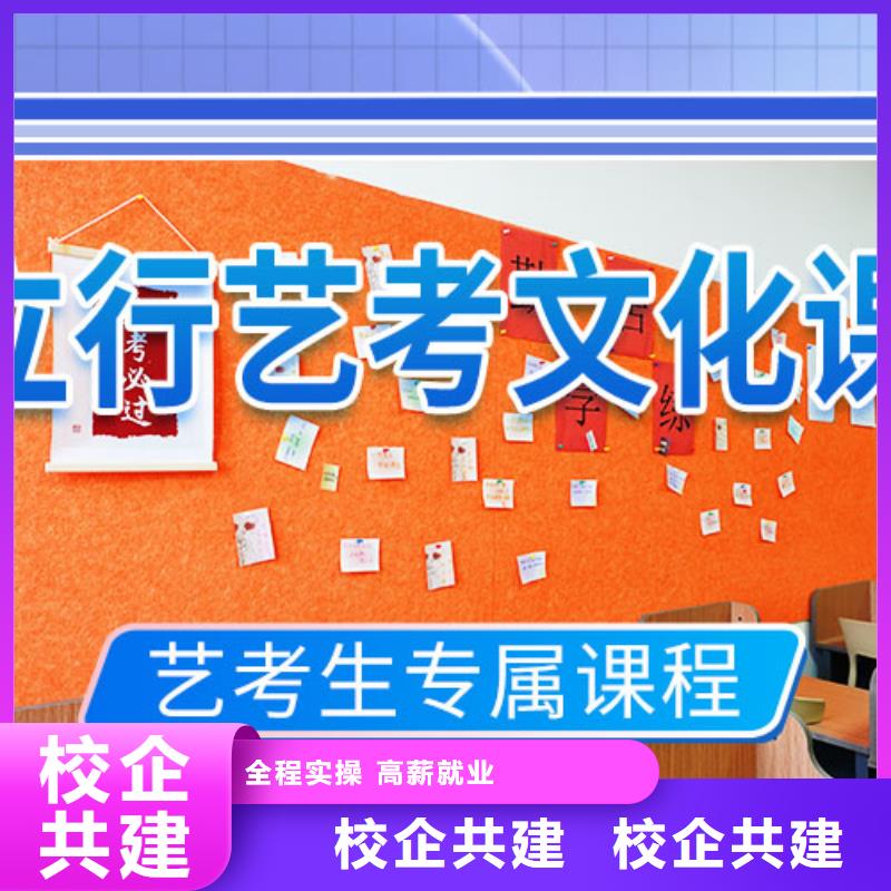 山东省枣庄薛城本土艺考生文化课培训学校哪个好