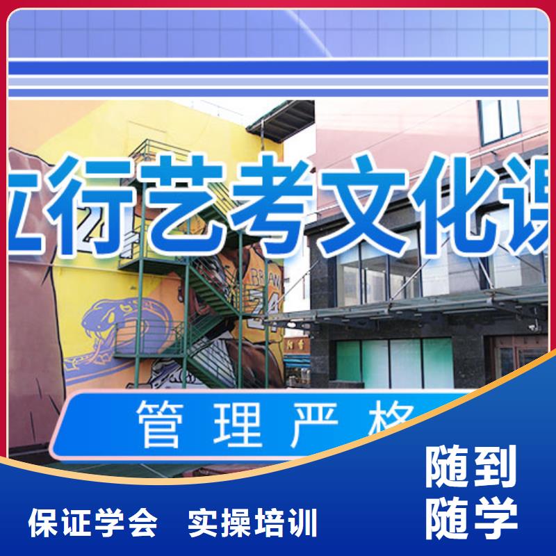藝考文化課集訓(xùn),高中一對(duì)一輔導(dǎo)理論+實(shí)操