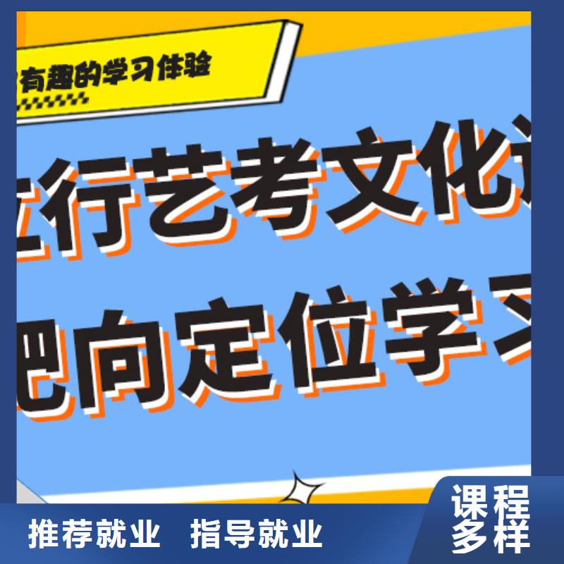 艺考生文化课补习机构哪个好个性化辅导教学