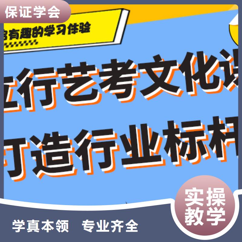 艺术生文化课补习学校哪里好艺考生文化课专用教材