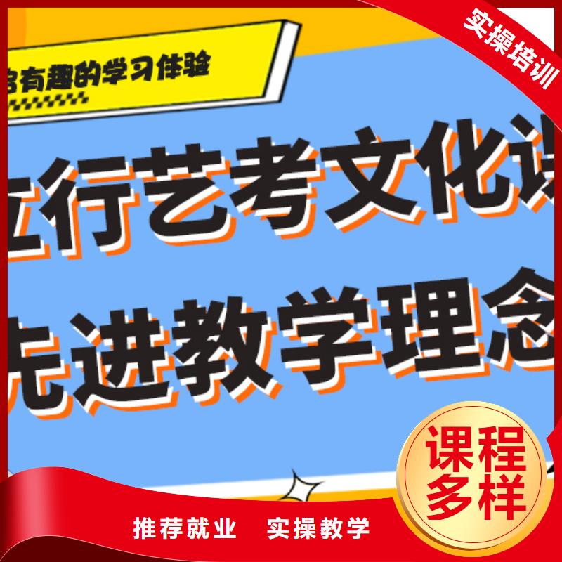 艺术生文化课补习机构价格定制专属课程