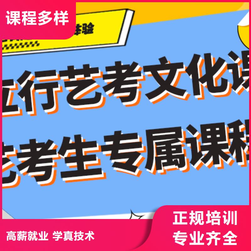 哪里好艺术生文化课辅导集训强大的师资配备