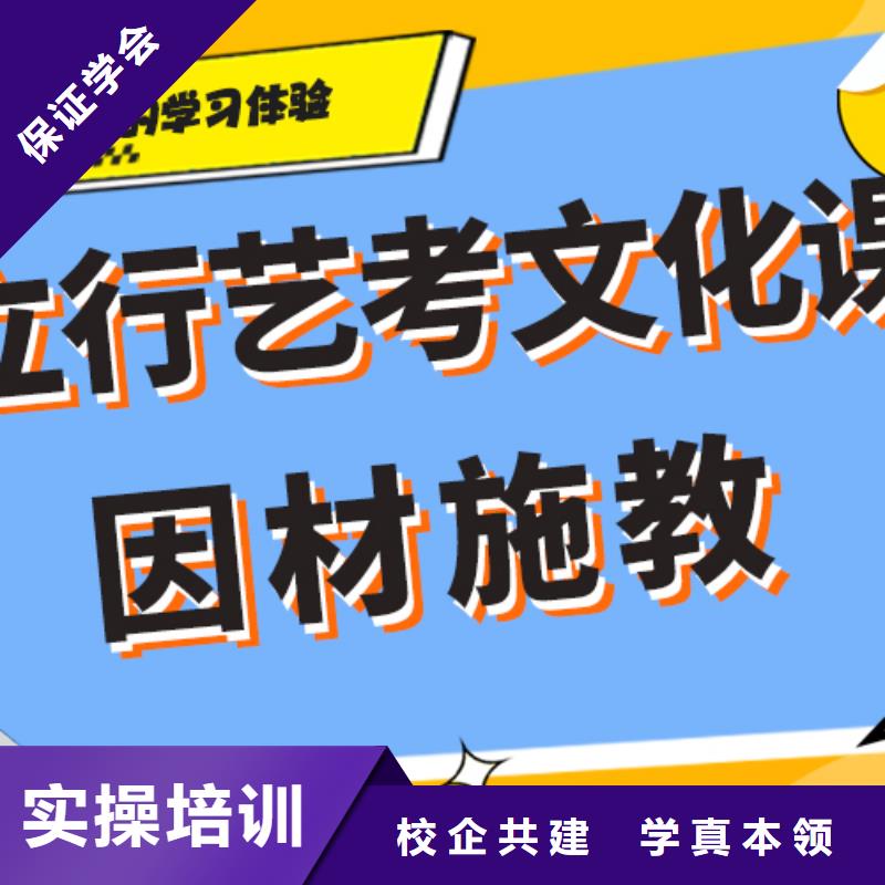 哪里好艺术生文化课培训补习艺考生文化课专用教材