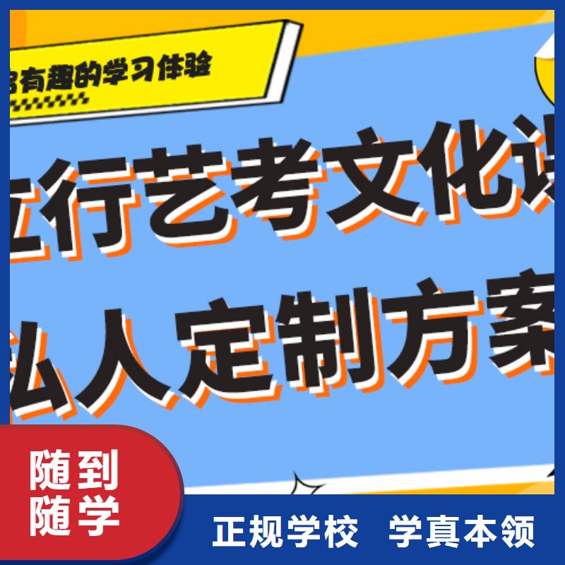 哪个好艺考生文化课补习学校定制专属课程