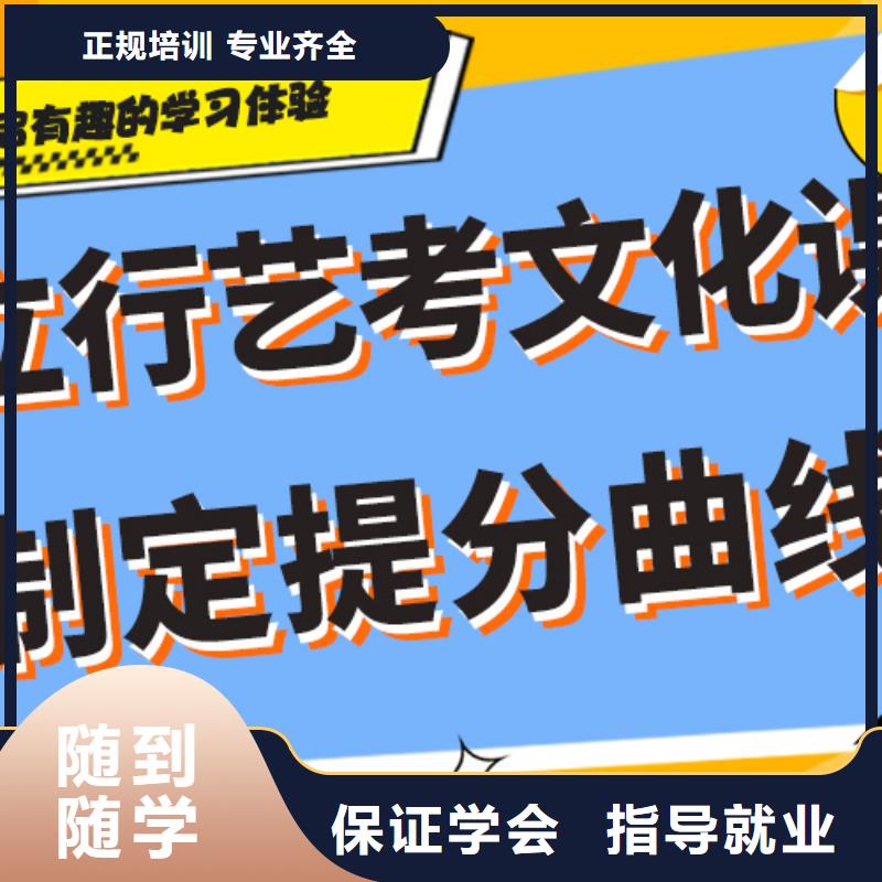 哪个好艺术生文化课辅导集训针对性教学