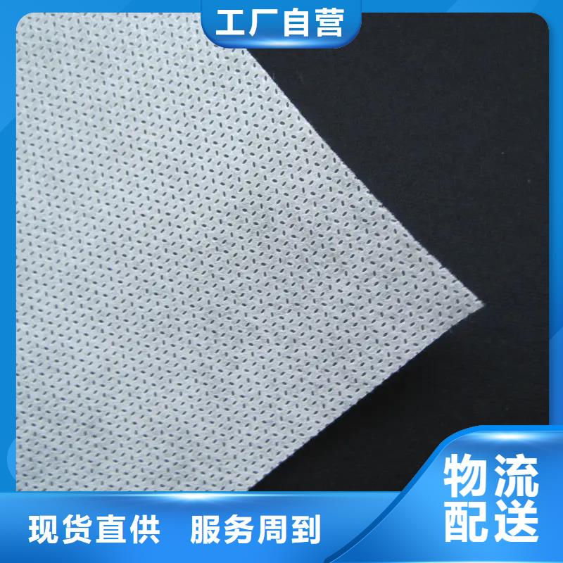 信泰源窗帘用无纺布现货厂家