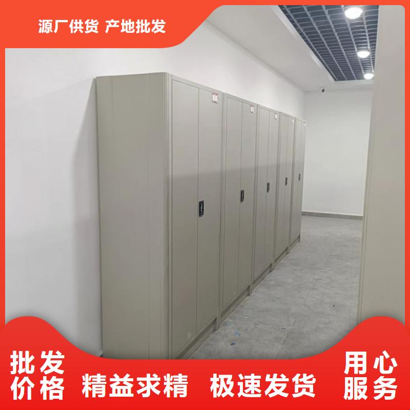 銷售基地【樺平】雙柱密集架