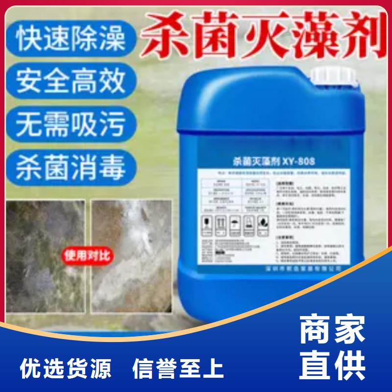 殺菌滅藻劑交貨準時