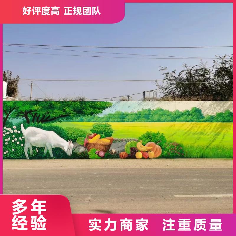 美麗鄉村振興彩繪墻繪團隊