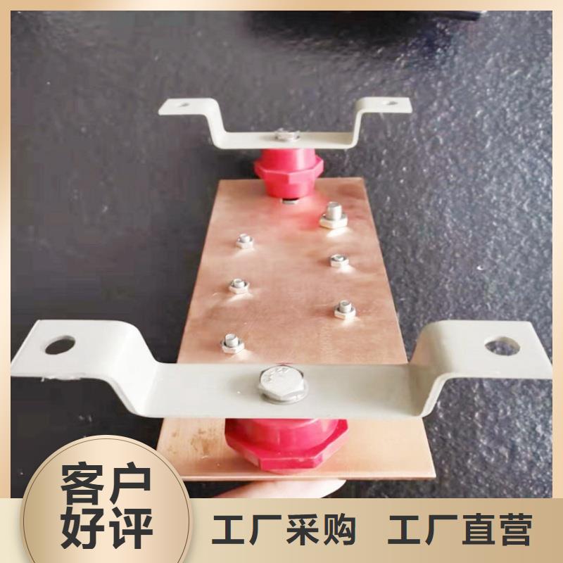 紫銅排實力廠家