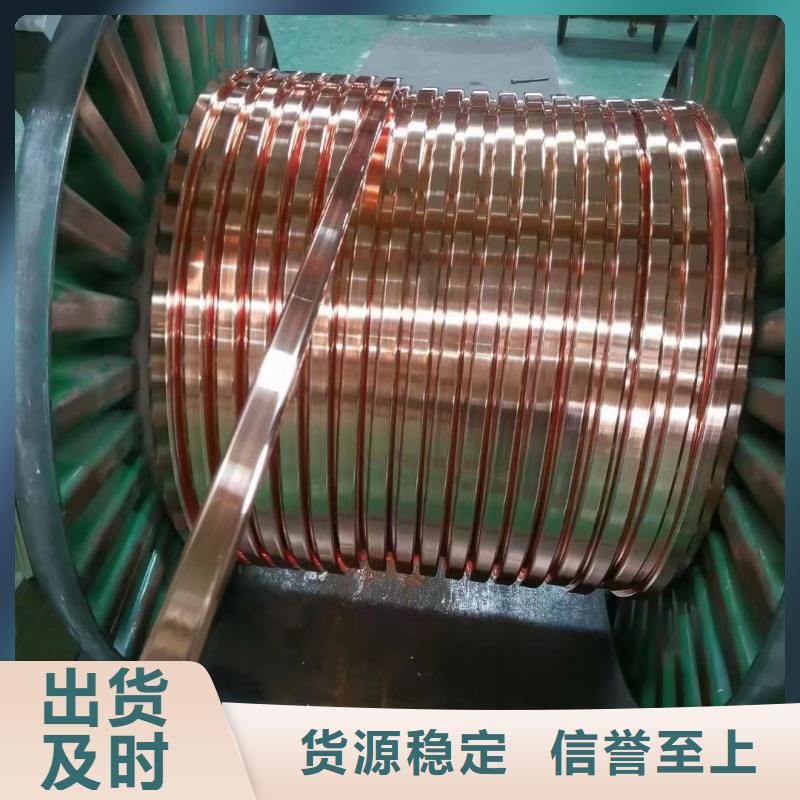 紫銅排實力廠家