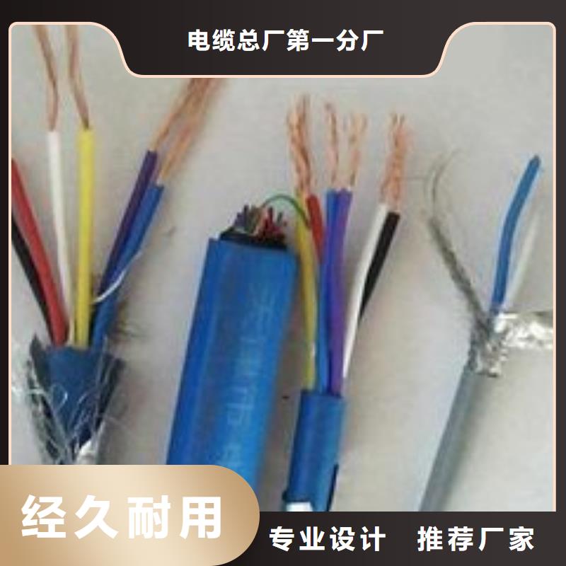 电线电缆PTYA23电缆检验发货