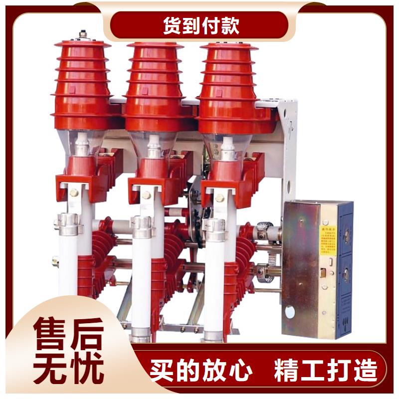FZN16-12D/630高壓負(fù)荷開關(guān)