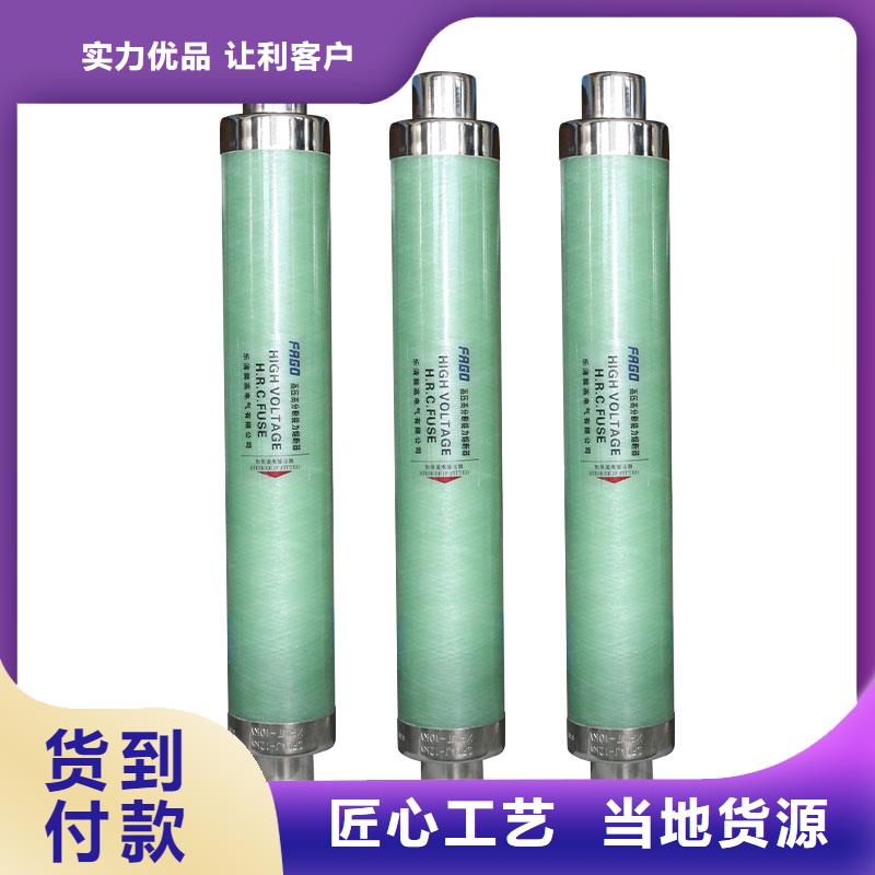 RXWO-40.5/1A熔斷器樊高
