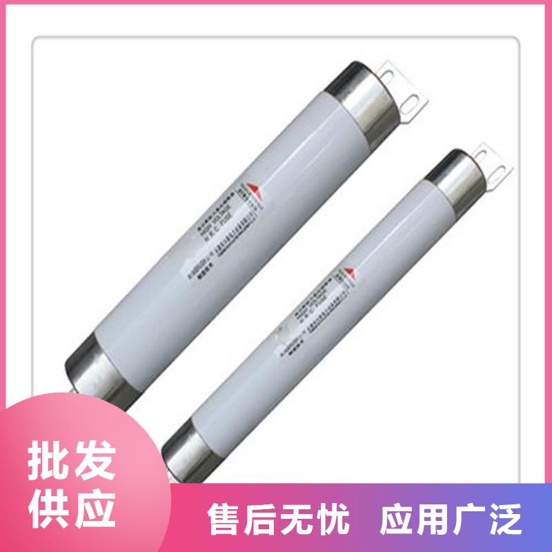 RXWO-40.5/2A高压限流熔断器