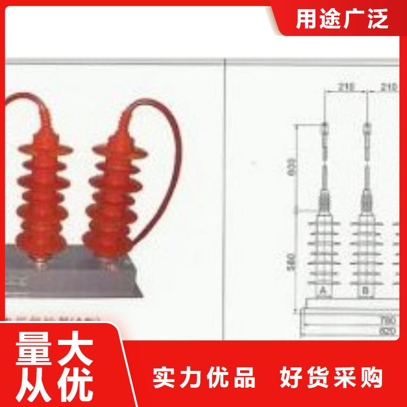 JSY-10/600避雷器计数器