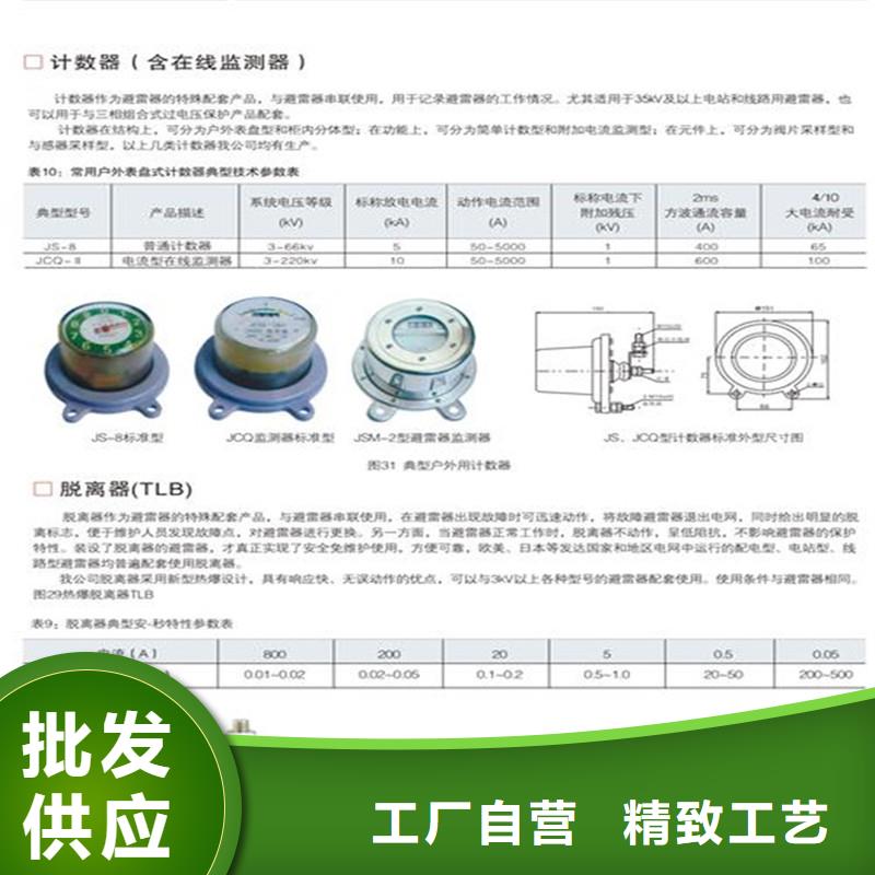 JCQ3A-2/800在線檢測儀