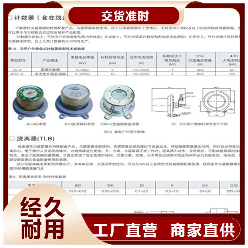 JSM-2/800在线监测仪