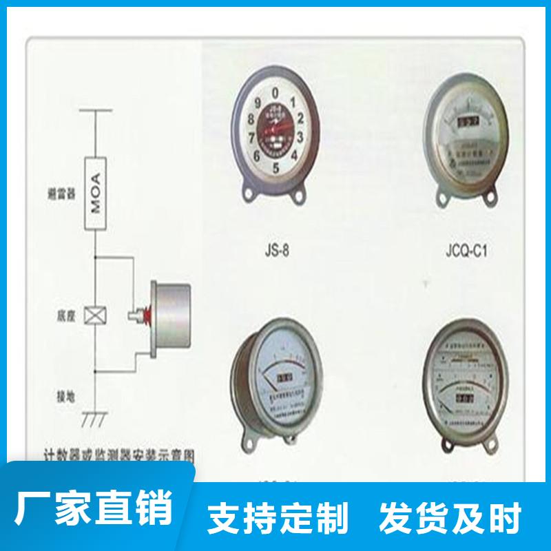 JSM-2/800在线监测仪