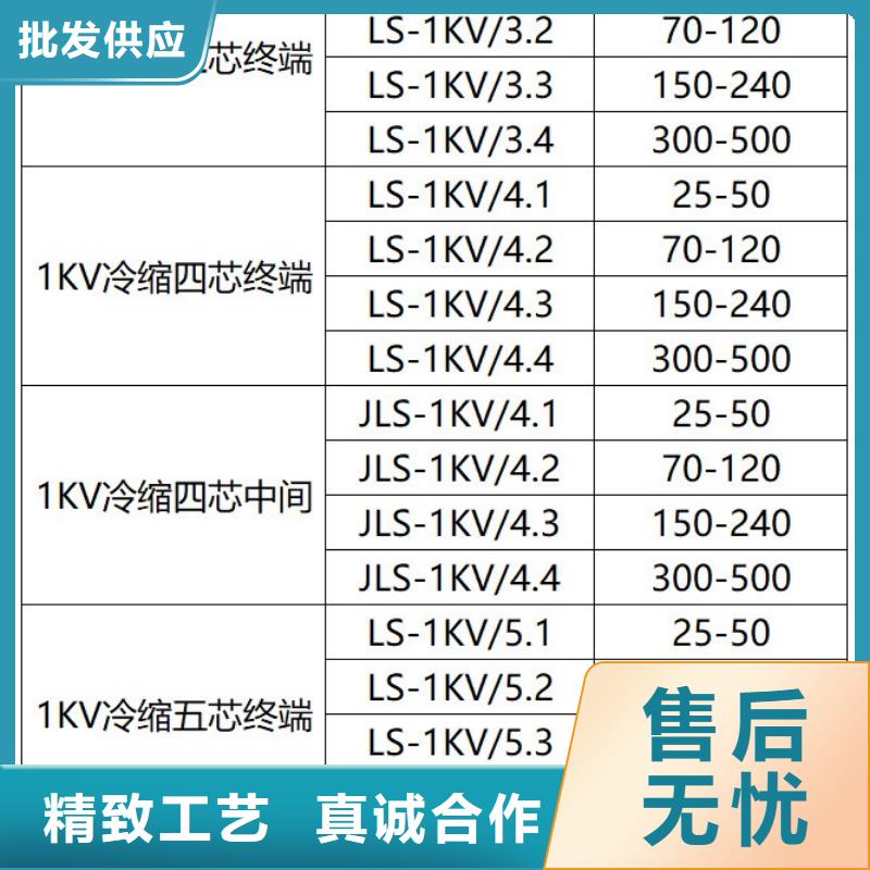 WSY-35/3.1三芯户外终端头