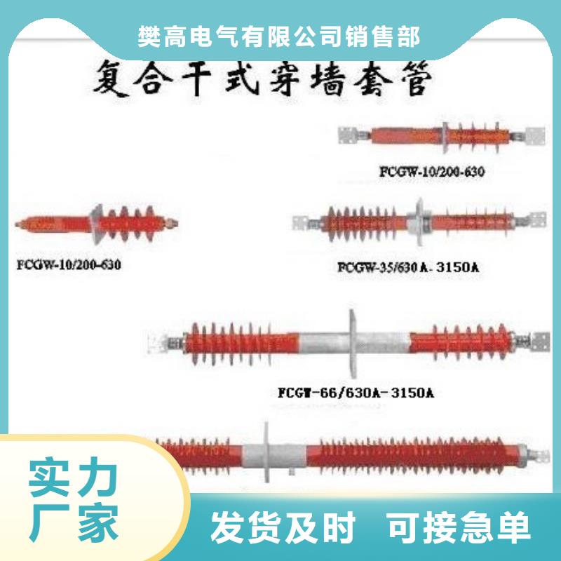 CWWB-40.5/3000A高压套管