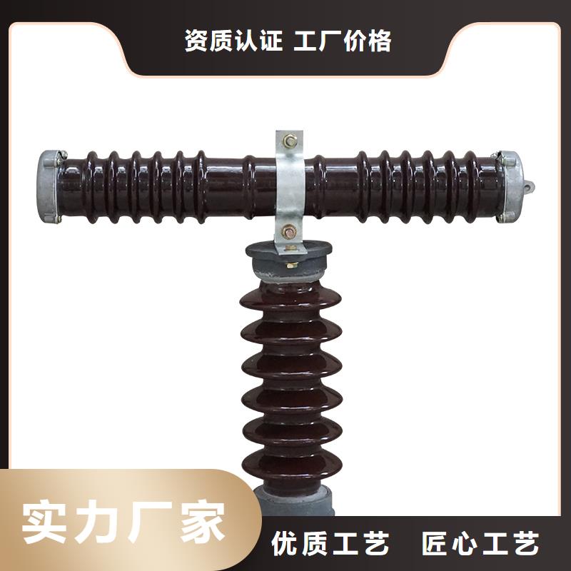 RW4-10/100A跌落保險