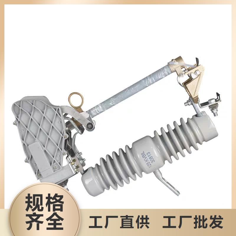 XRNP-10kv/0.5A高压限流熔断器