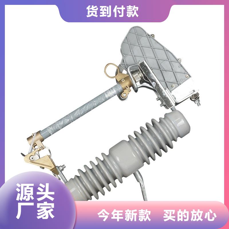 BRW2-10/50A限流熔斷器