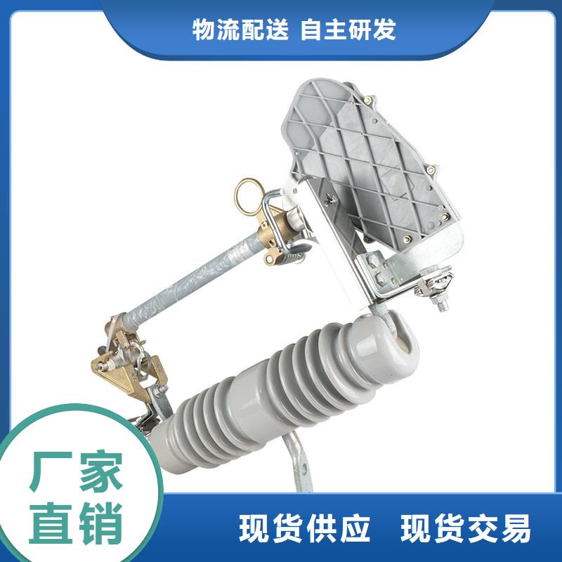 XRNP-3.6/0.5A熔管