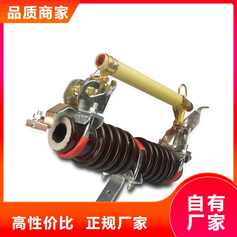 RW9-35/5A高壓熔管儋州市性能