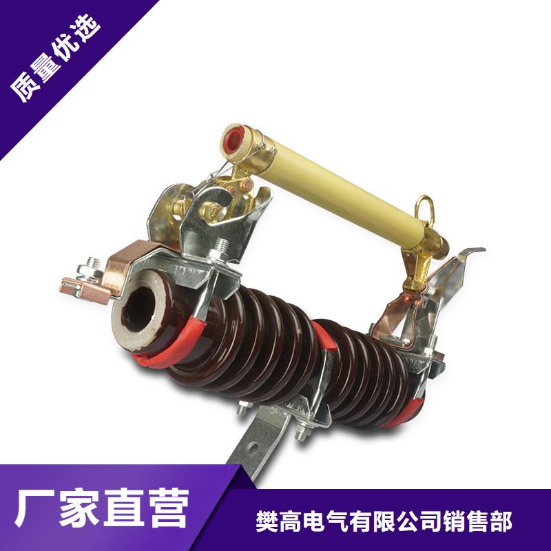 XRNP-12KV/0.2A熔管